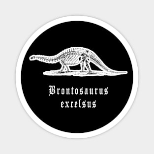 🦖 Fossil Skeleton of a Brontosaurus excelsus Dinosaur Magnet